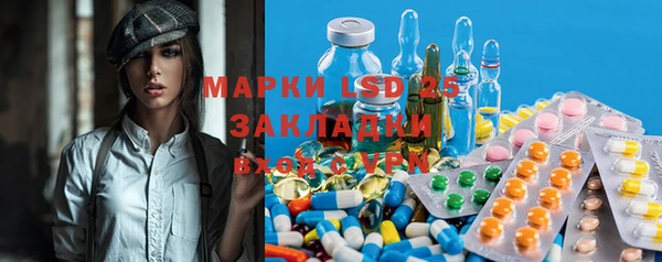 ПСИЛОЦИБИНОВЫЕ ГРИБЫ Алзамай