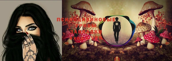 меф Алексин