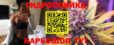apvp Заводоуковск