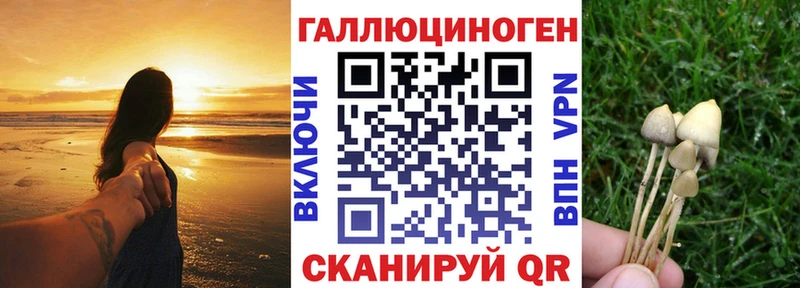 Галлюциногенные грибы мухоморы  hydra сайт  Краснознаменск 