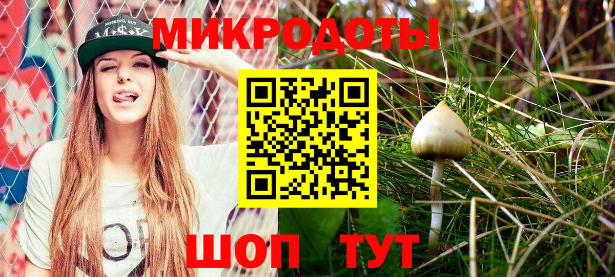 Псилоцибиновые грибы Psilocybine cubensis  Галлюциногенные грибы Psilocybine cubensis  Краснознаменск  Вход с VPN 